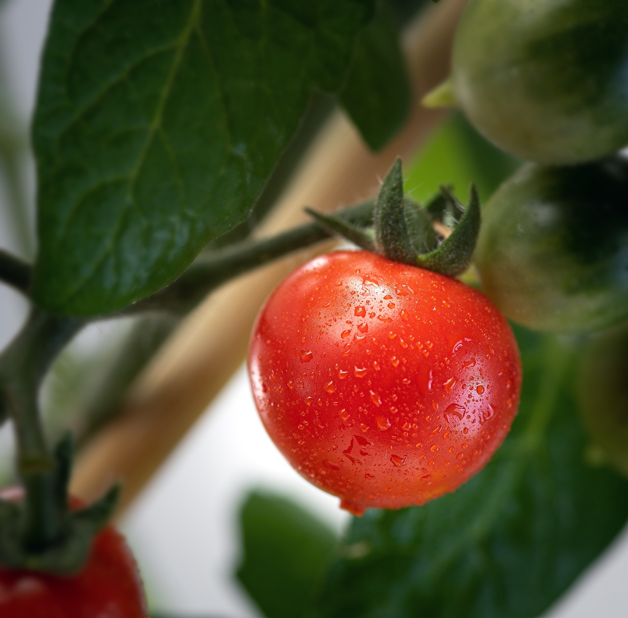 How to Make Your Own Organic Salad Dressings